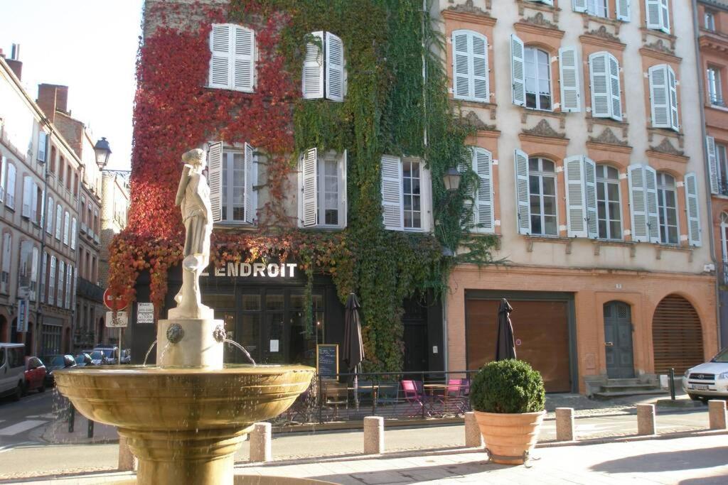 Logis De Sainte-Scarbes Daire Toulouse Dış mekan fotoğraf